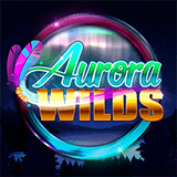 Layanan isi ulang voucher game online resmi dan tercepat untuk semua jenis permainan Aurora Wilds