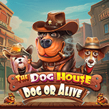 Voucher Game Free Fire, Online Mobile Legends Dan PUBG Proses Instan The Dog House – Dog Or Alive